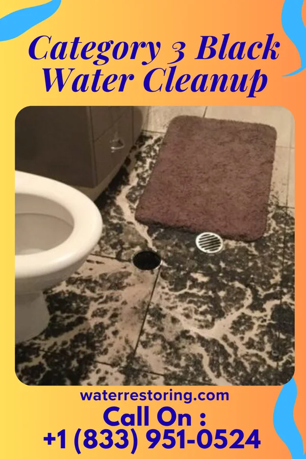 Category 3 Black Water Cleanup in Amarillo, TX