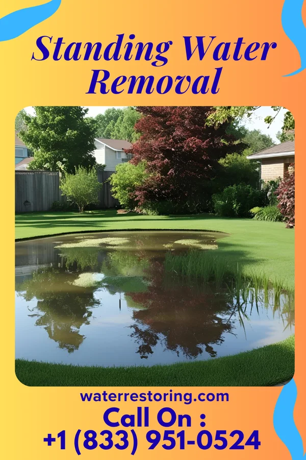 Standing Water Removal in Amarillo, TX